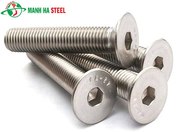 BU LÔNG INOX 304 M22