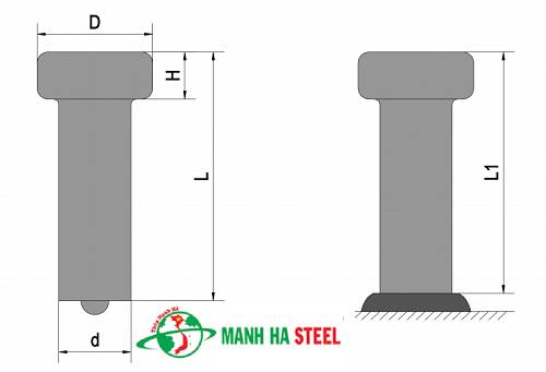 ĐINH HÀN (ĐINH CHỐNG CẮT)