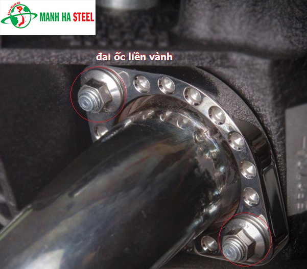 Êcu liền long đen inox 304