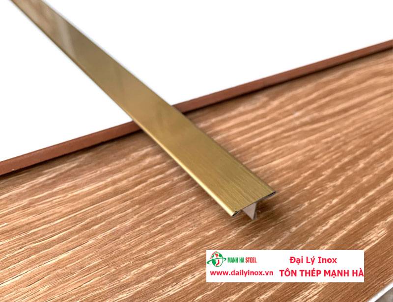 Nẹp Inox T10