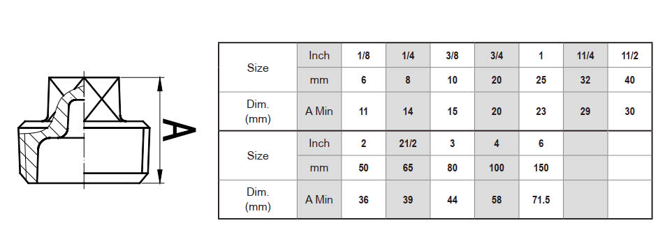 Nút Bịt Ren INOX 304 201 316