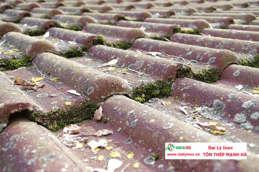 Hướng dẫn vệ sinh mái ngói chi tiết, đơn giản