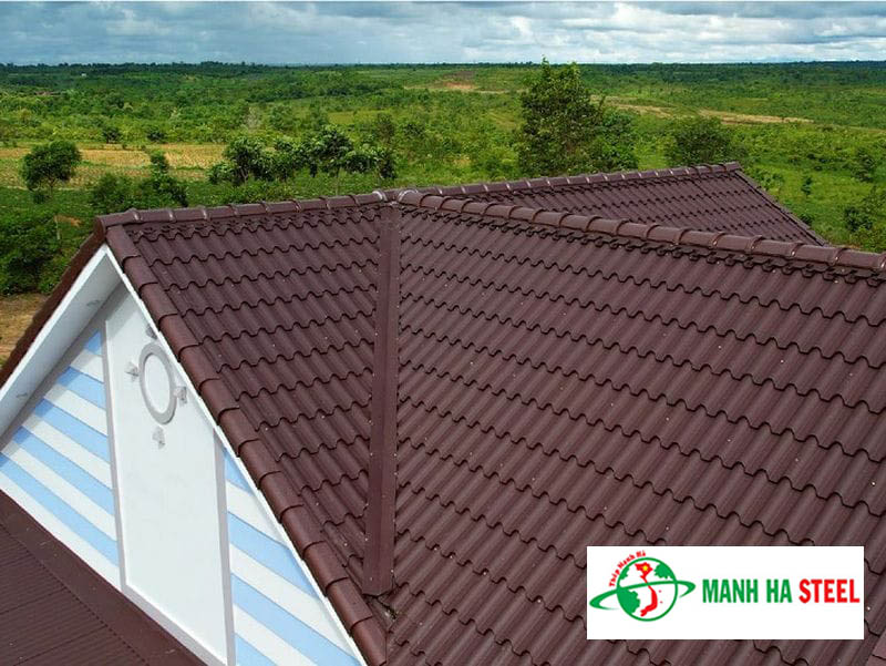 Thiết kế nhà lợp tôn giả ngói màu nâu hiện đại