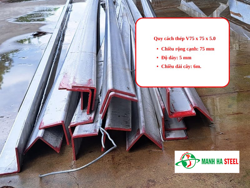 Thép V75x75x5