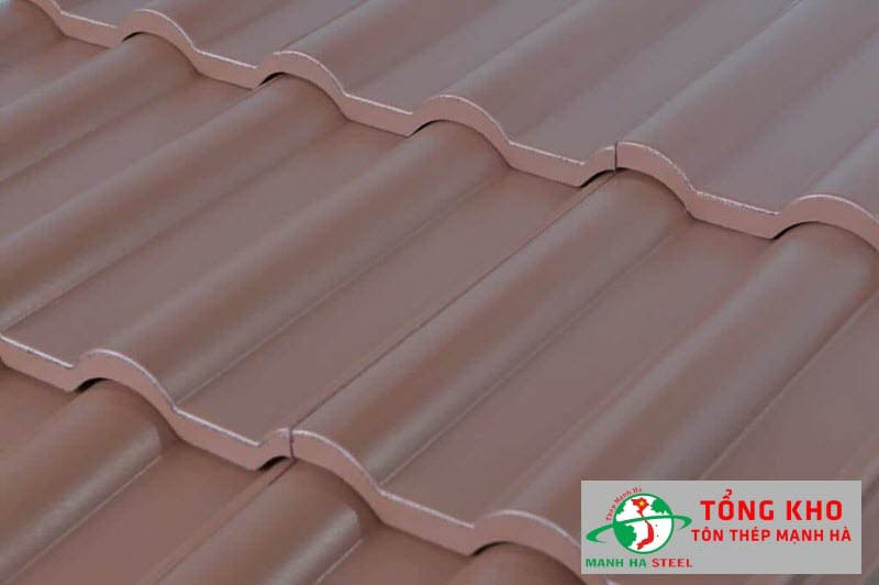 Tôn giả ngói socola