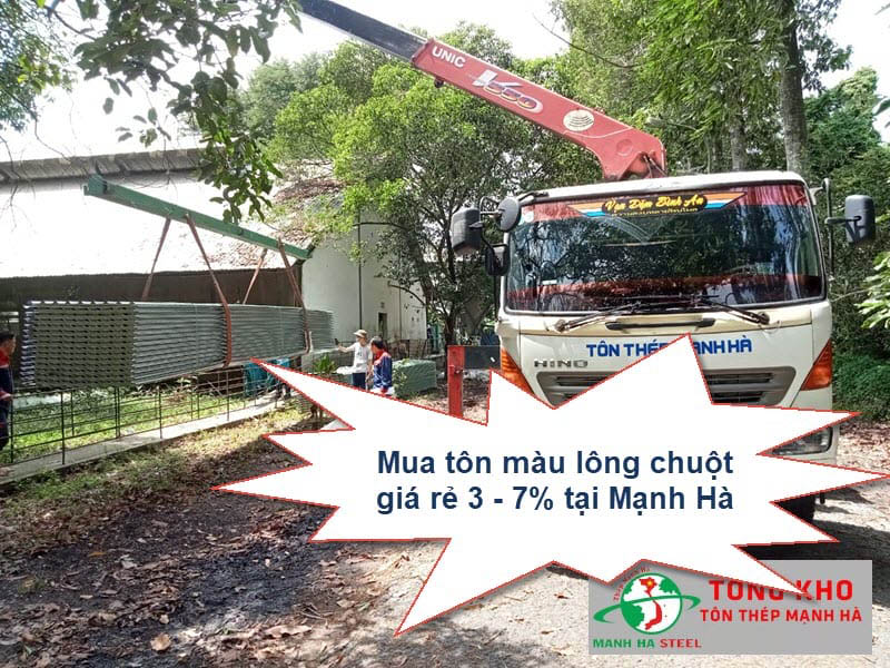 Bảng Báo Giá Tôn Màu Lông Chuột